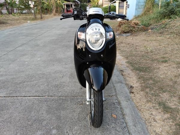 เก็บปลายทาง  Honda scoopy i สด-ผ่อน รูปที่ 5